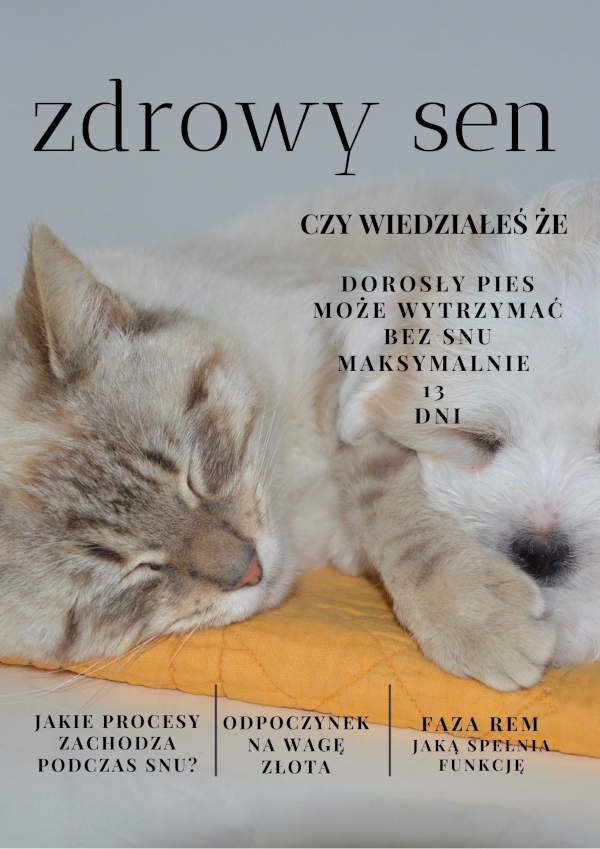 Ile pies może wytrzymac bez snu?