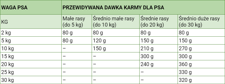 Ile razy dziennie powinien jeść dorosły pies?