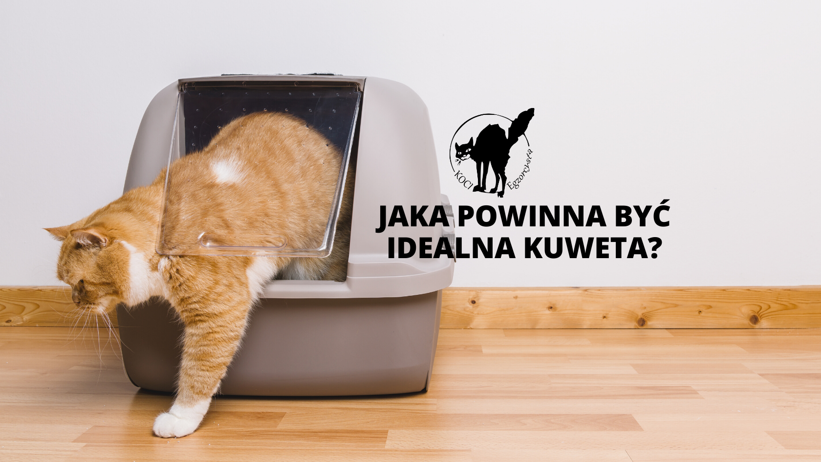 Jak pełna powinna być kuweta?