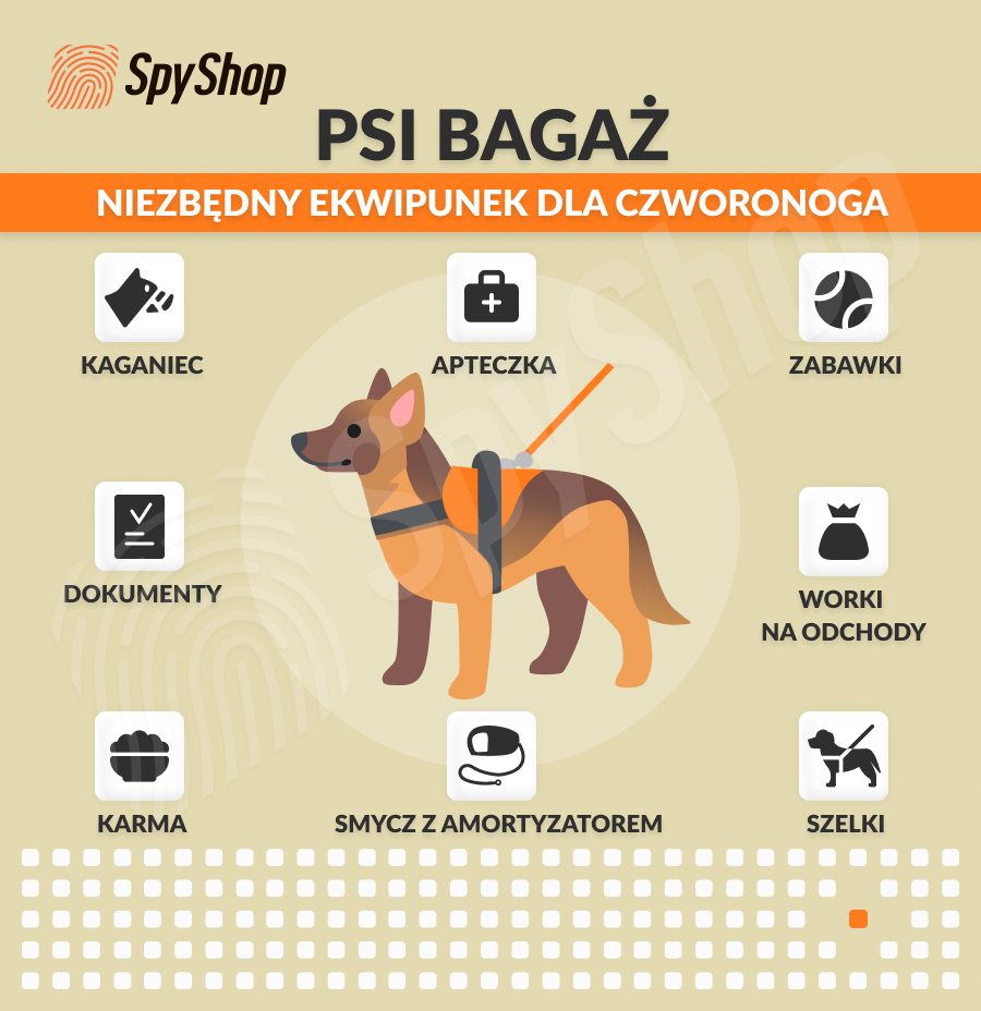 Jak pożegnać się z psem przed wyjazdem?