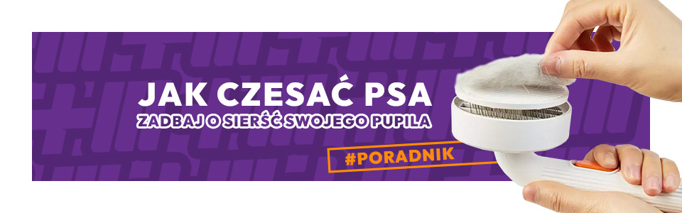 Jak zaczac Czesac psa?
