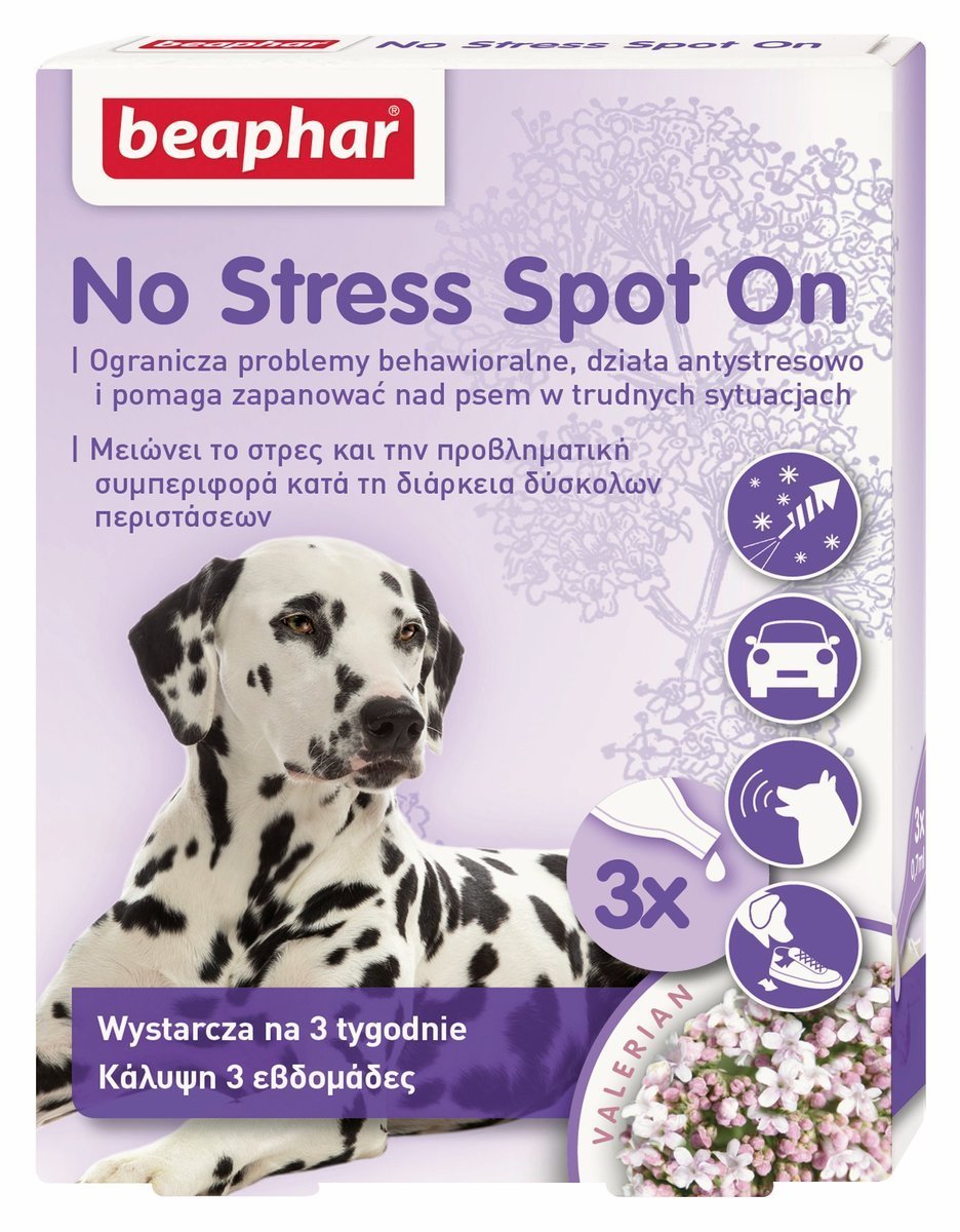 Co na wyciszenie psa?