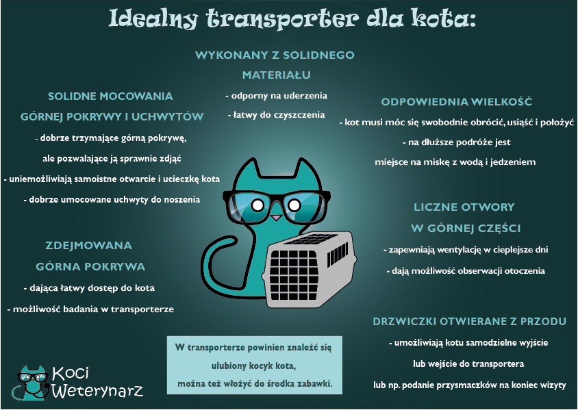 Co włożyć do transportera dla kota?