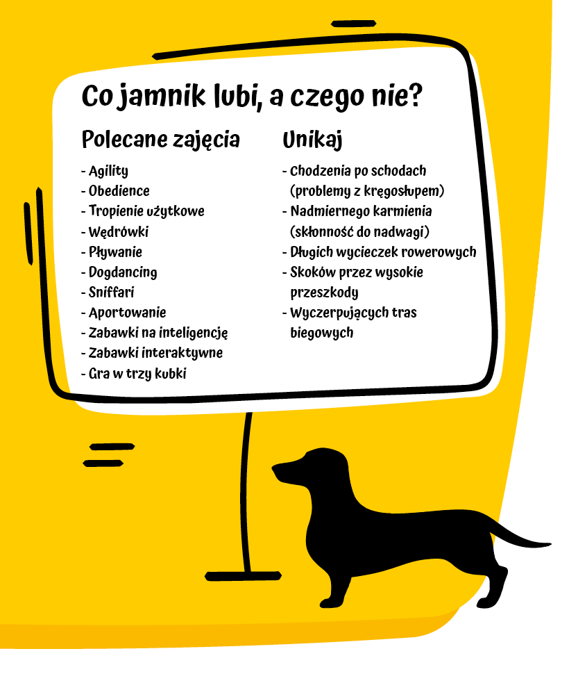 Czego nie może jesc jamnik?
