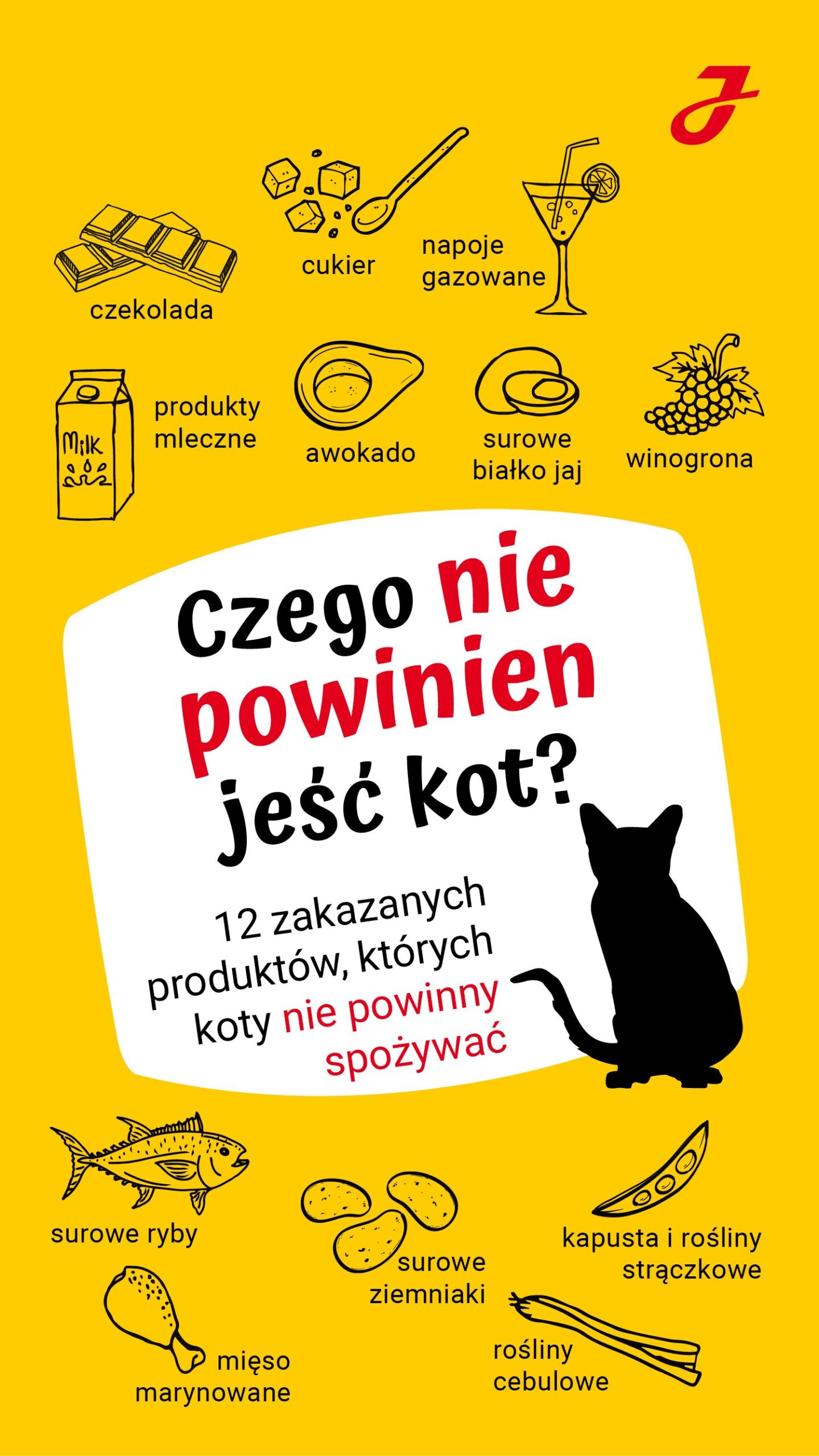 Czego nie może jeść kot?