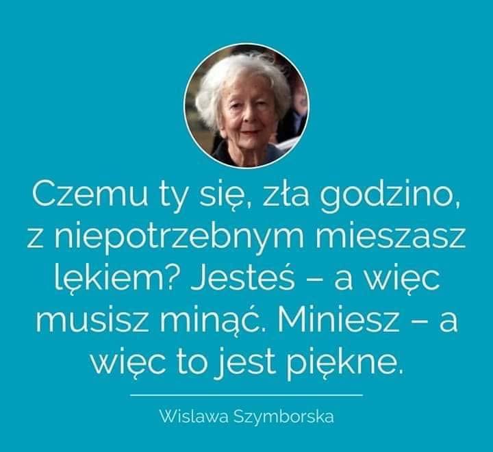 Czemu ty się zła godzina? - Fundacja dla kociąt osieroconych Cali Mali
