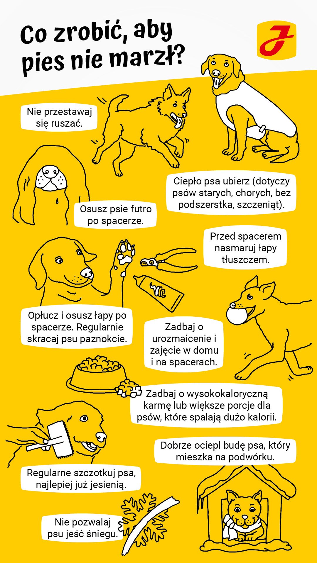 Czy dla psa jest zimno?