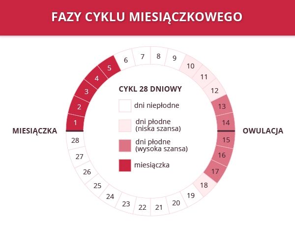 Ile dni po okresie są dni płodne?