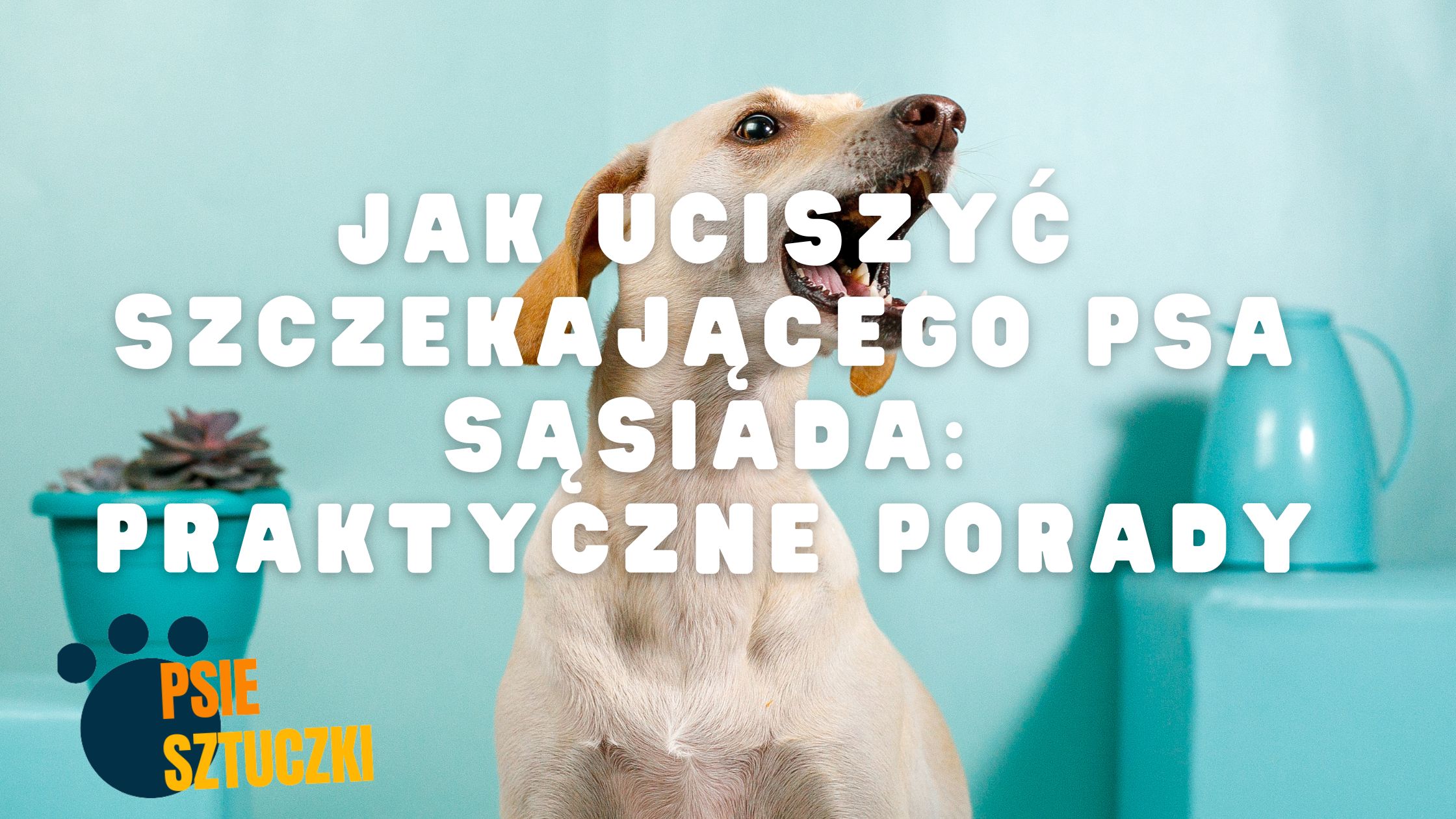 Jak uciszyć psa?