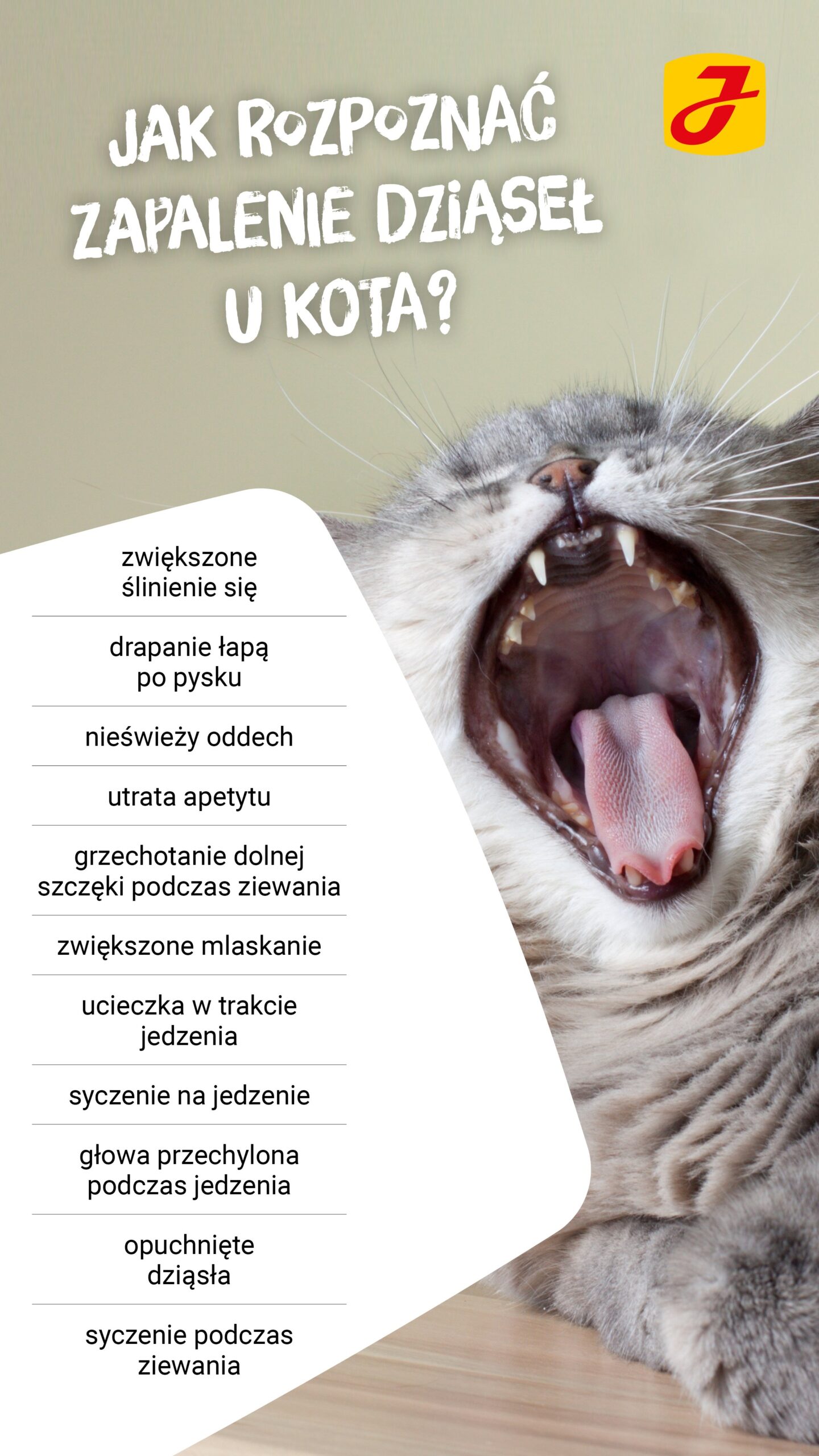 Jak złagodzić ból zęba u kota?