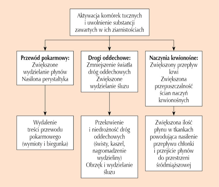 Od czego wstrząs anafilaktyczny u psa?