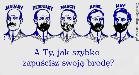 W jakim wieku jest pełna broda?
