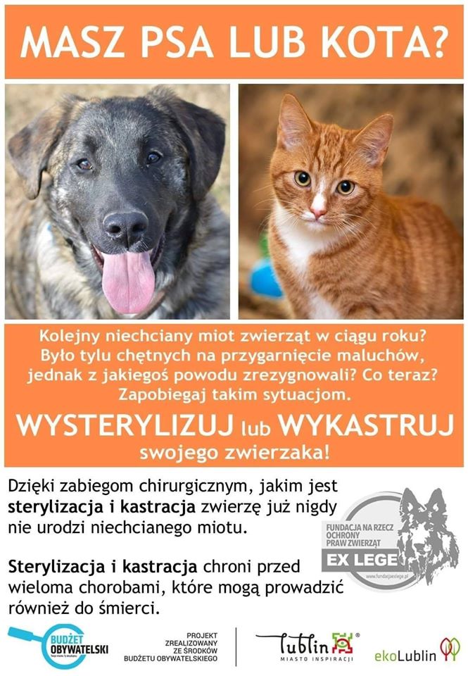 Czy kastracja jest dobra?