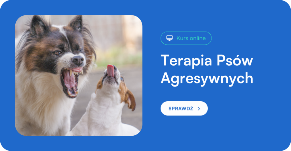 Czy kastracja wycisza psa?