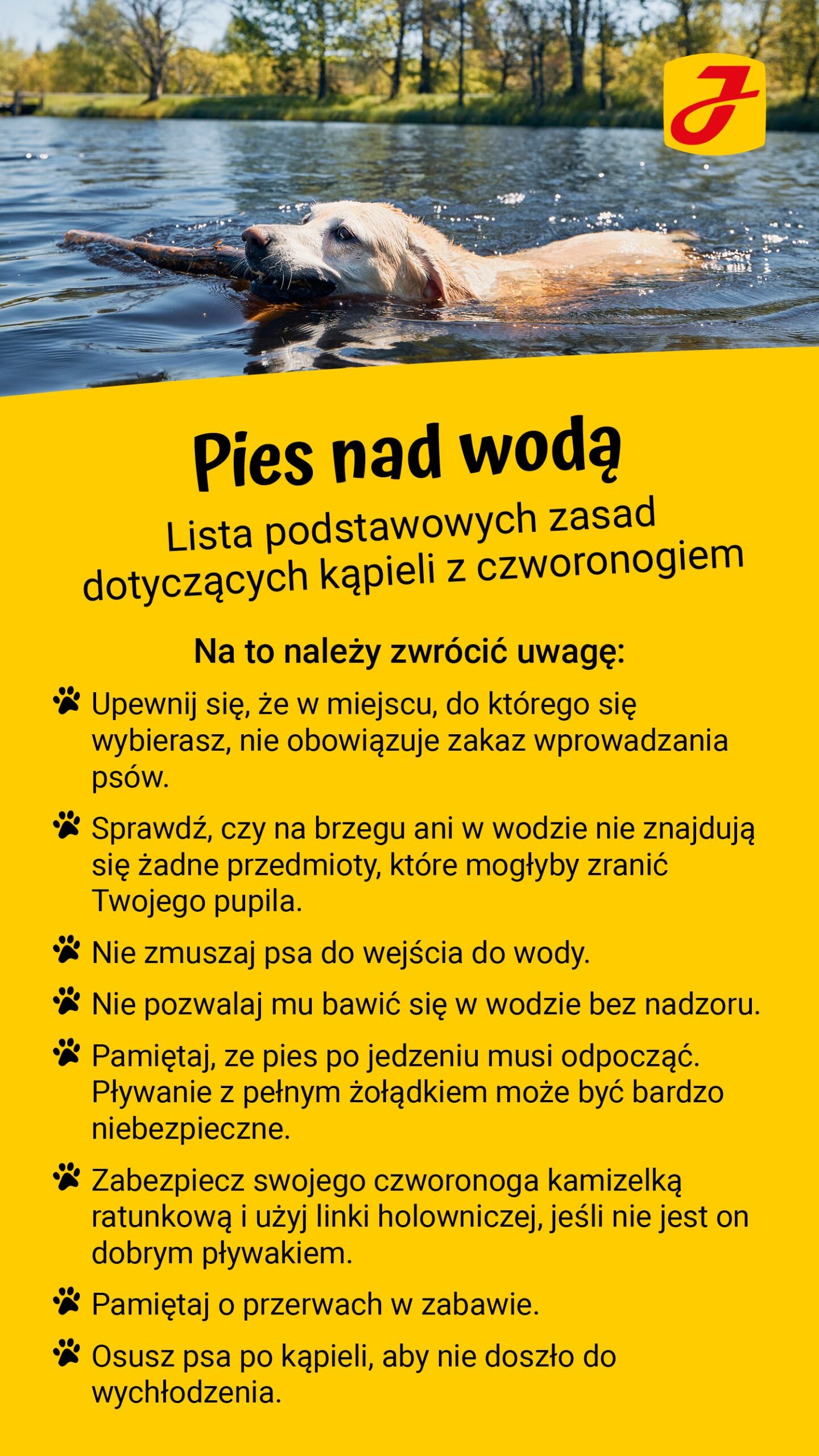 Czy psy boją się wody?