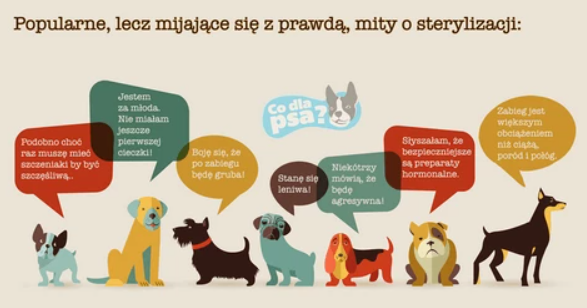 Czy sterylizacja zmienia charakter psa?
