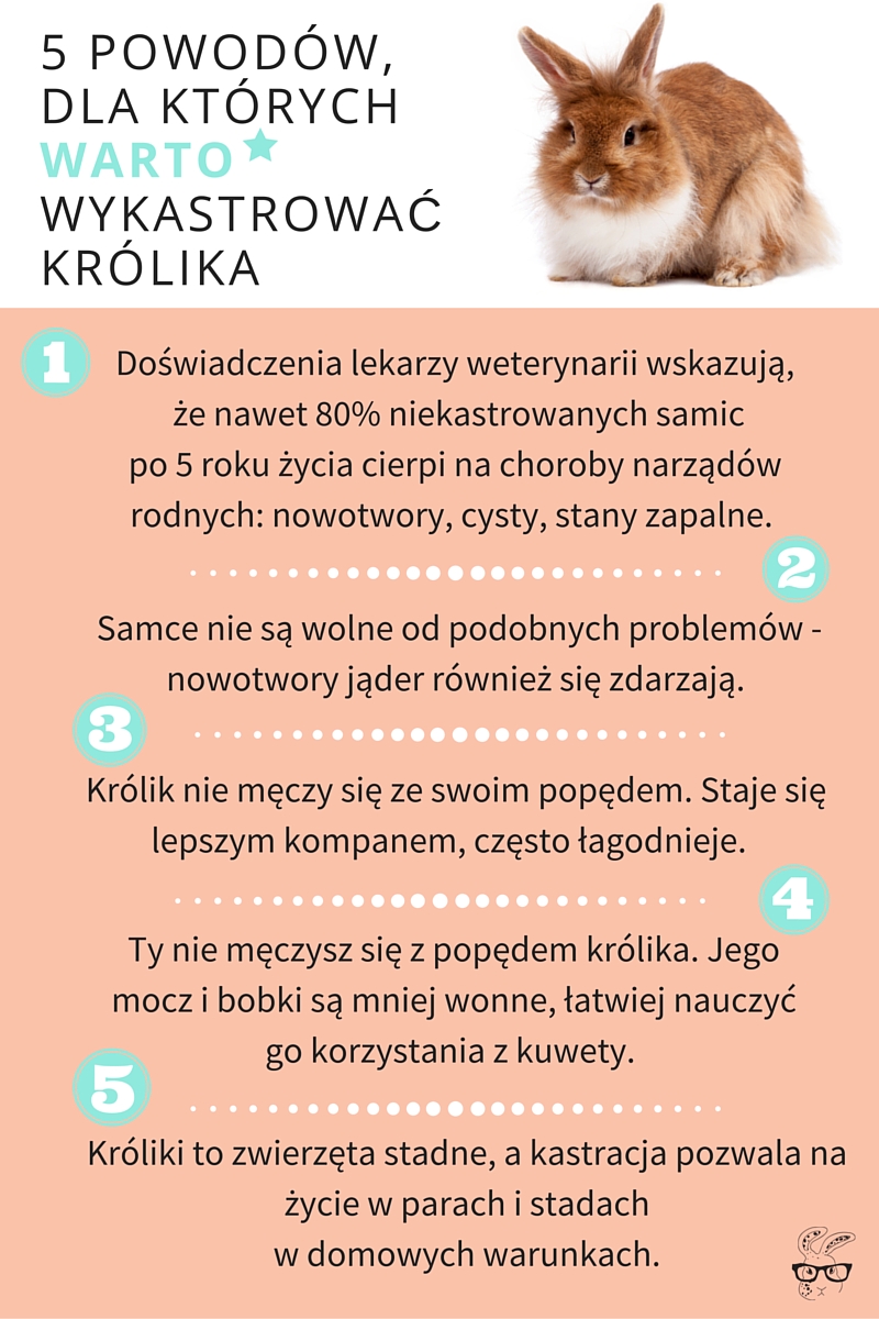 Czy warto się wykastrować?