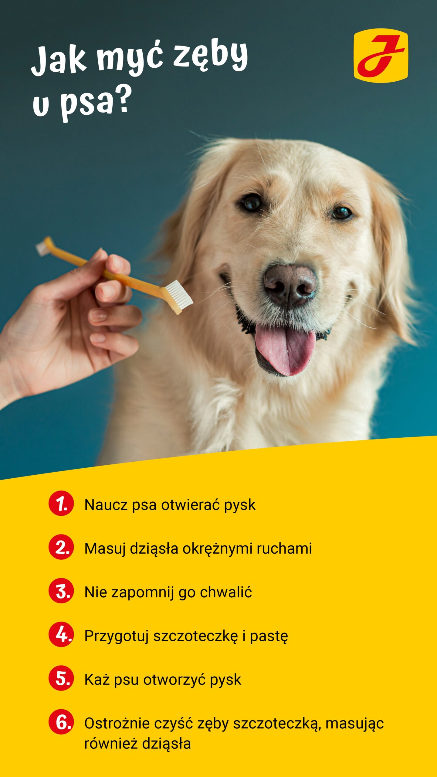 Czym można czyścić psu zęby?