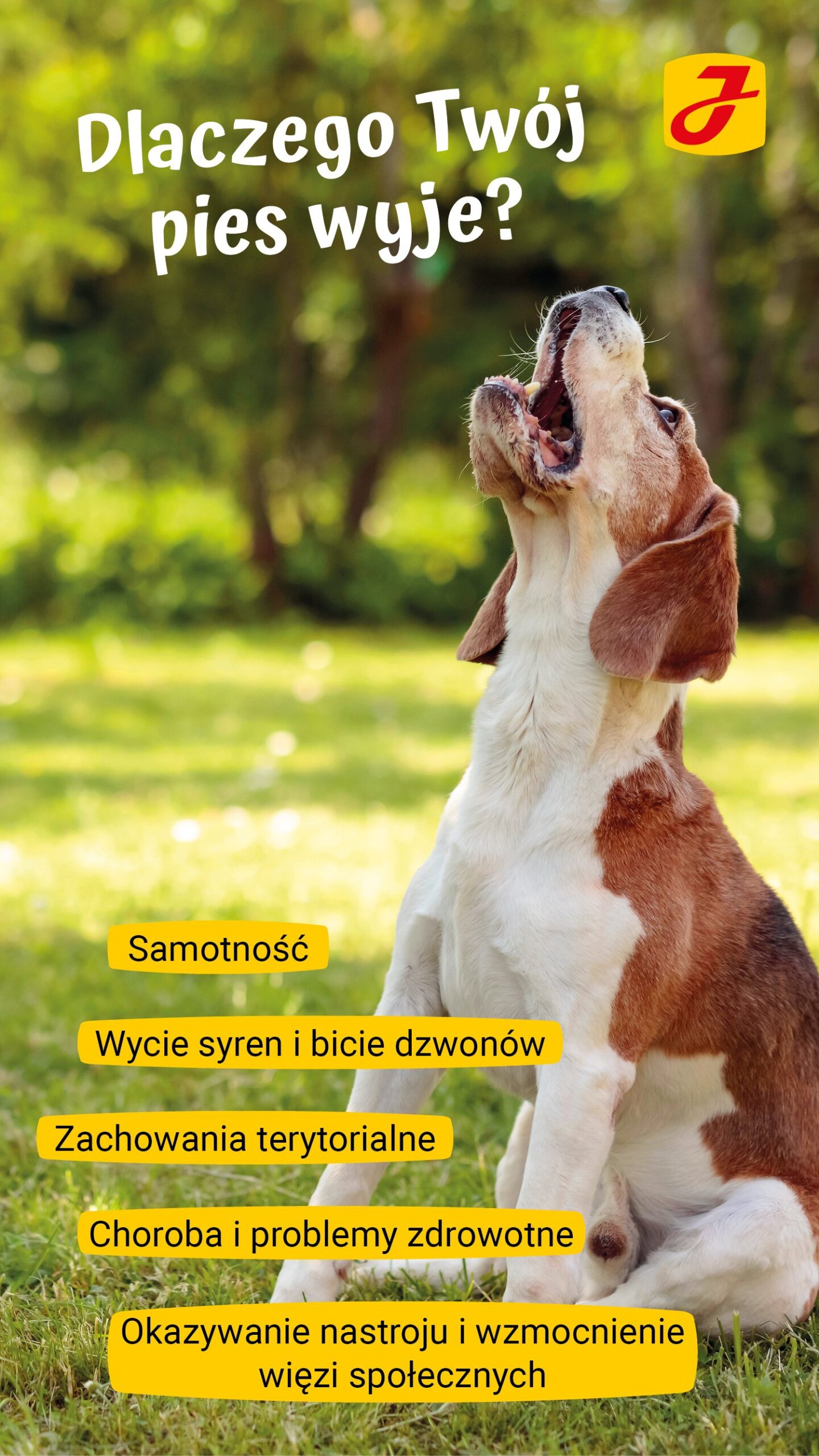 Dlaczego psy wyją na dźwięk syreny?