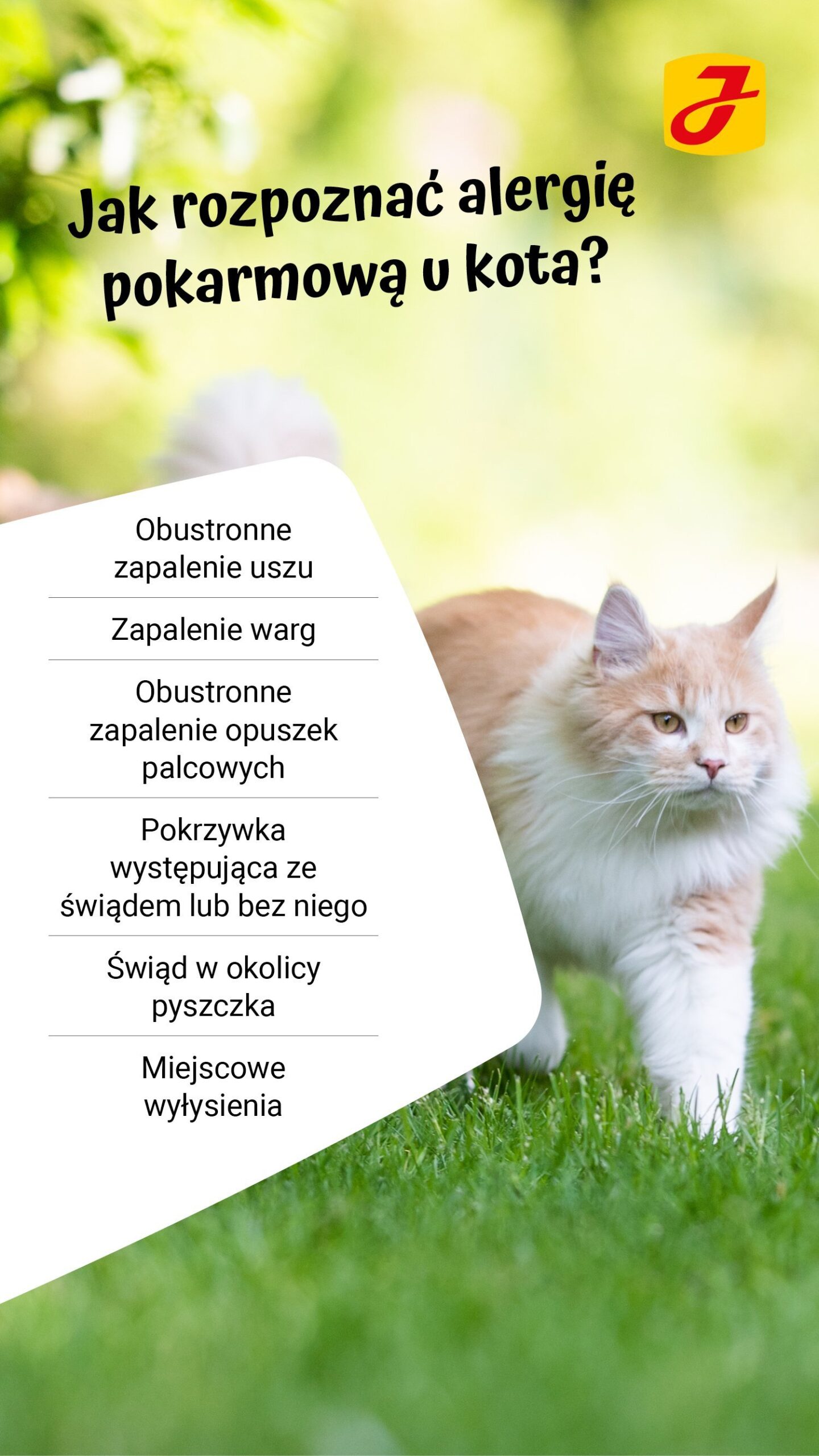 Jak długo utrzymują się alergeny kota?