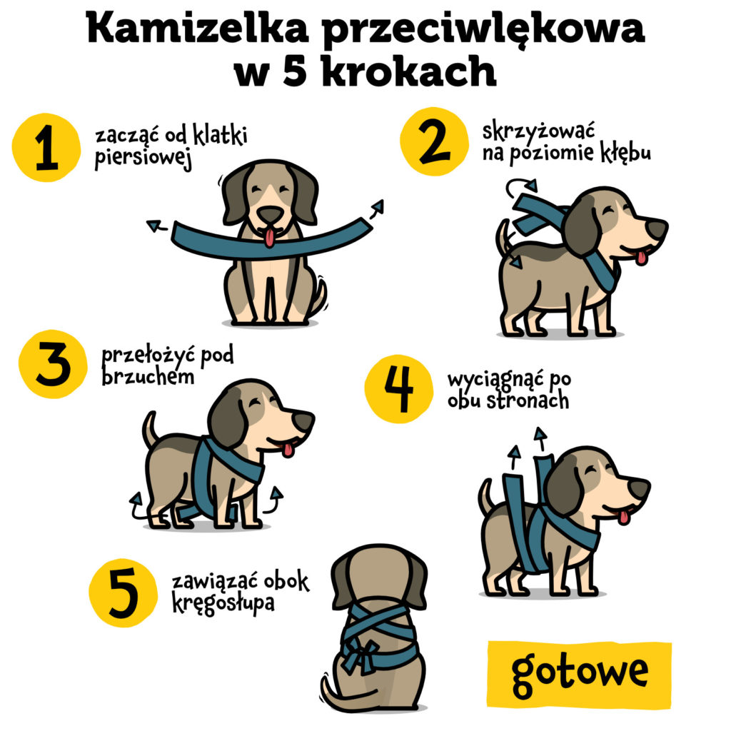Jak obniżyć poziom stresu i lęku u psa?