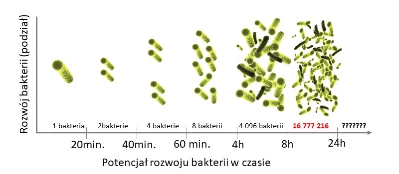 Jak zlikwidować bakterie?