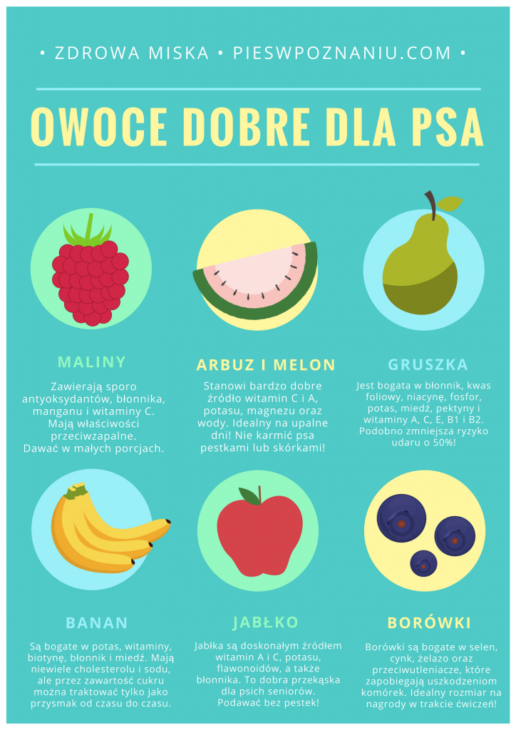 Jakie owoce można dawac dla psa?