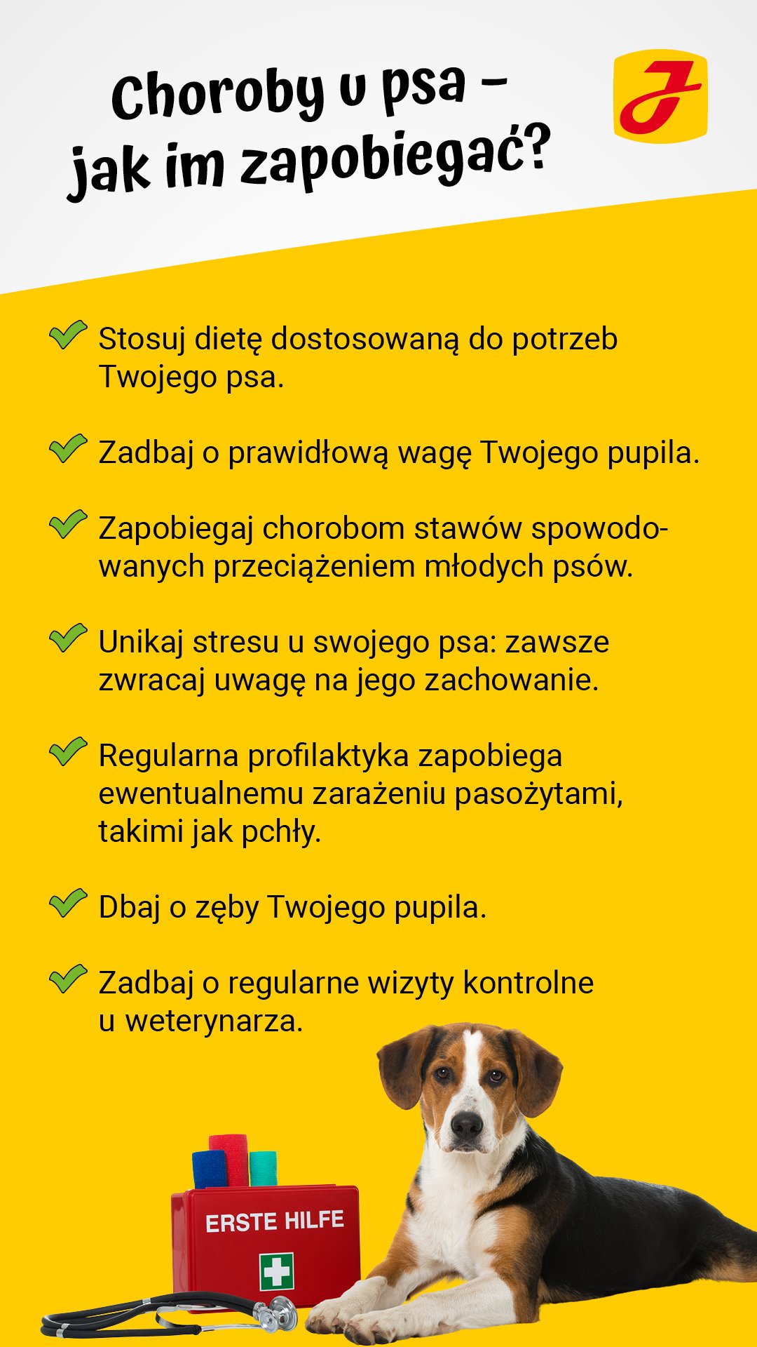 Po czym poznać że pies jest chory?