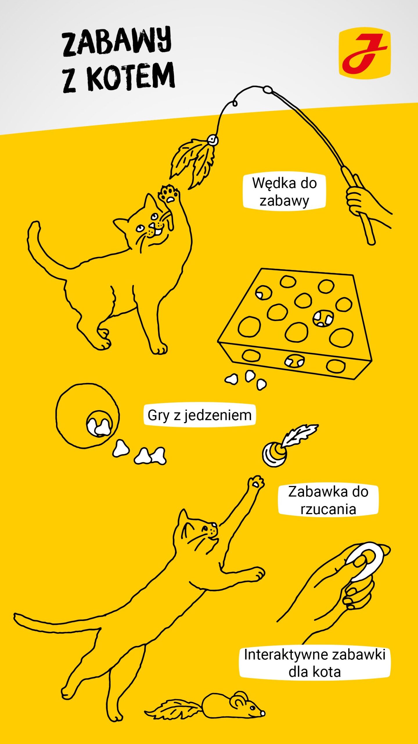 Jak spędzać czas z kotem?