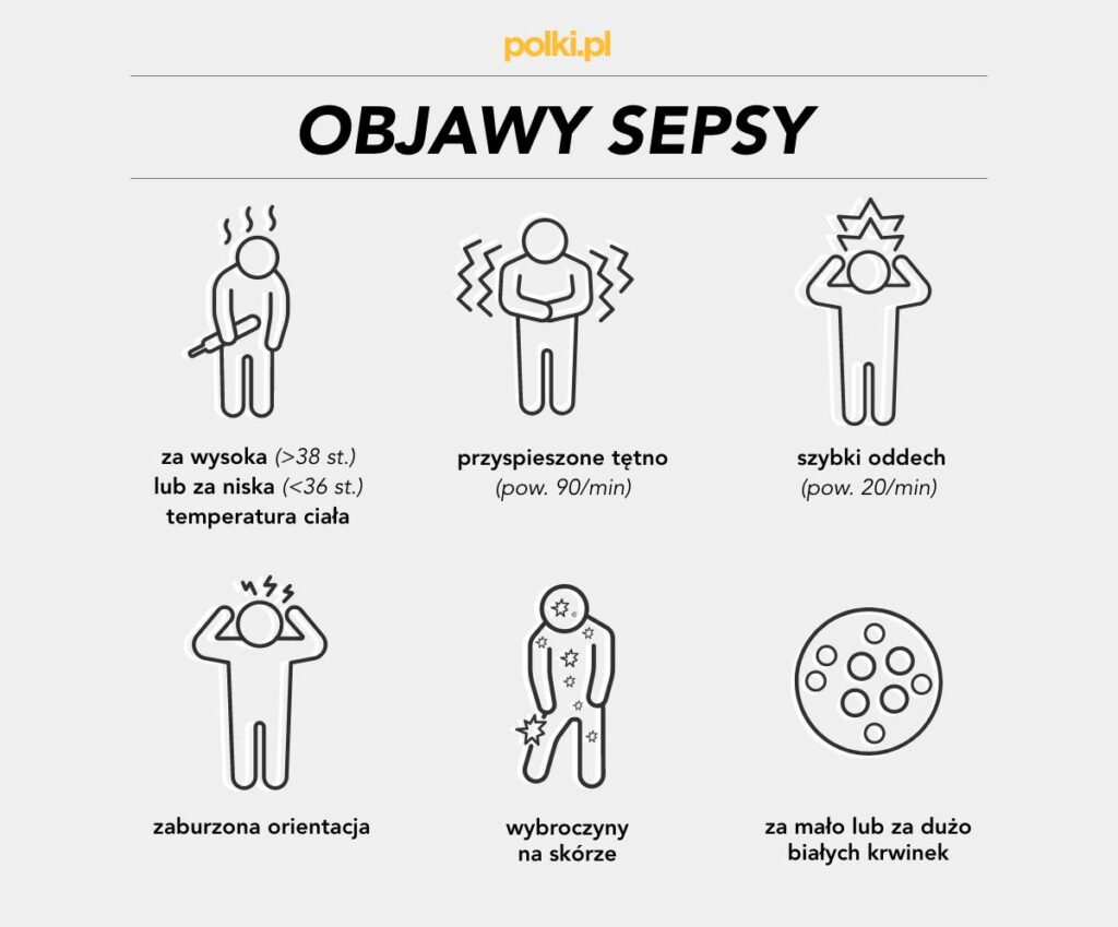 Sepsa Reki Jak szybko rozwija się sepsą? - Fundacja dla kociąt osieroconych Cali ...