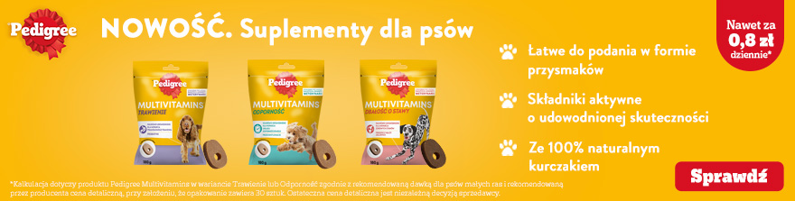 Jakich odgłosów nie lubią koty?