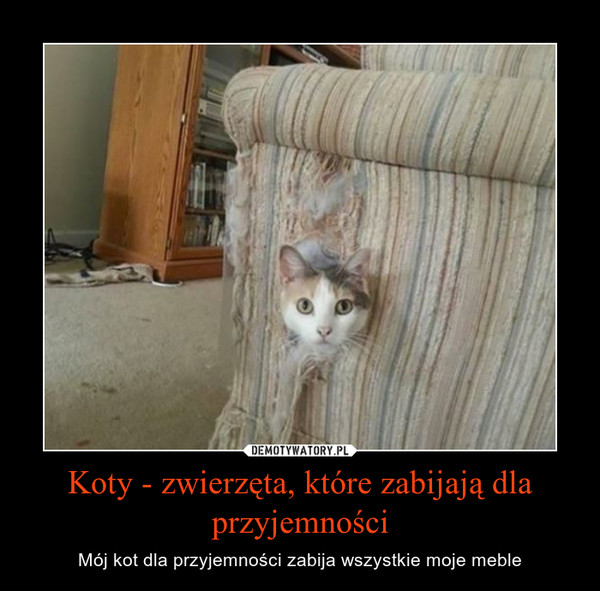 Jakie zwierzęta zabijają dla przyjemności?