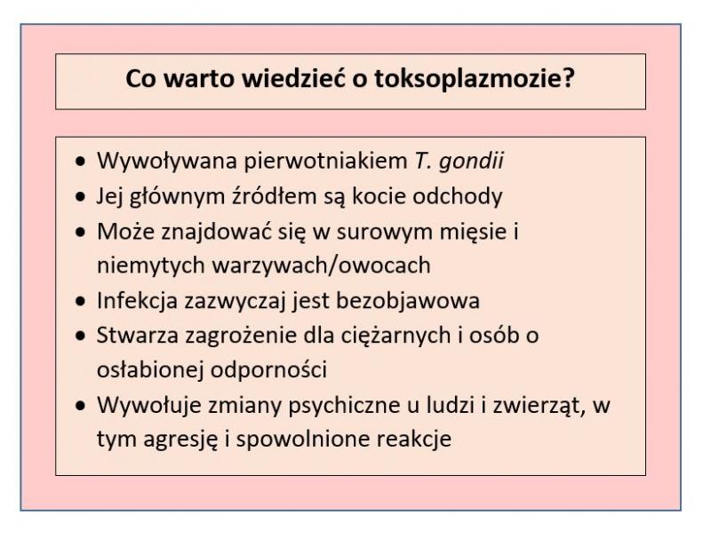 Co należy robić aby ustrzec się przed toksoplazmozą?
