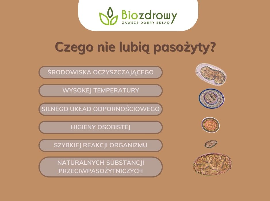 Czego nie lubia robaki w organizmie?