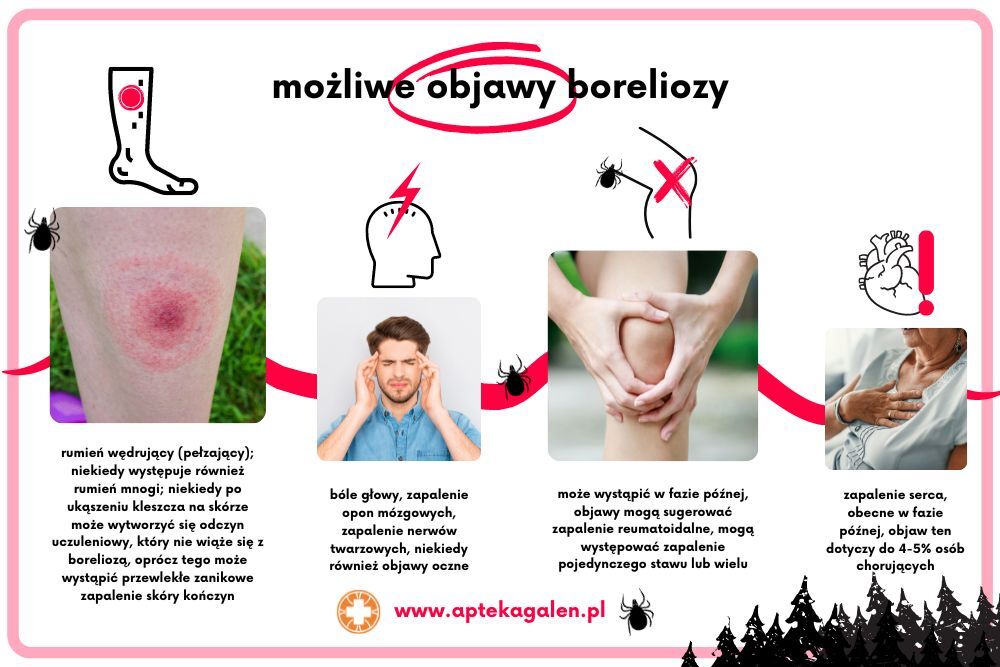 Czy borelioza może ustąpić sama?