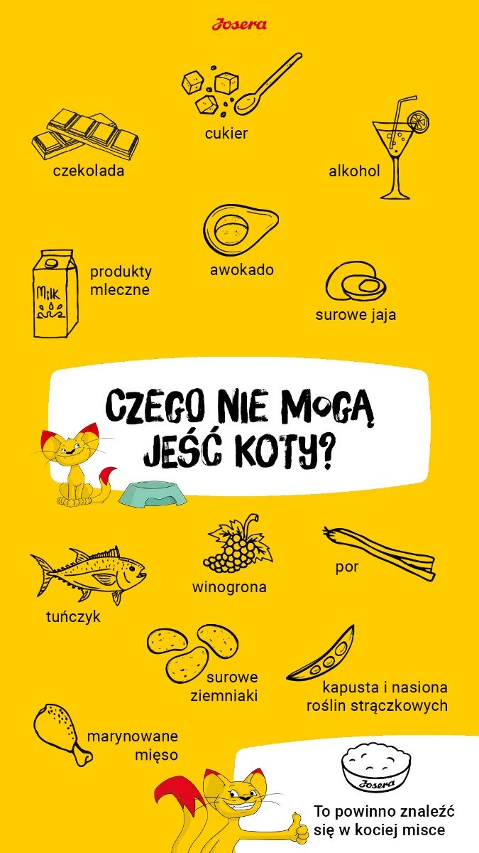 Czy koty mogą jeść człowieka?