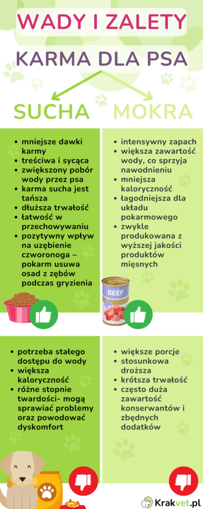 Czy mokrą karma jest lepsza niż suchą?