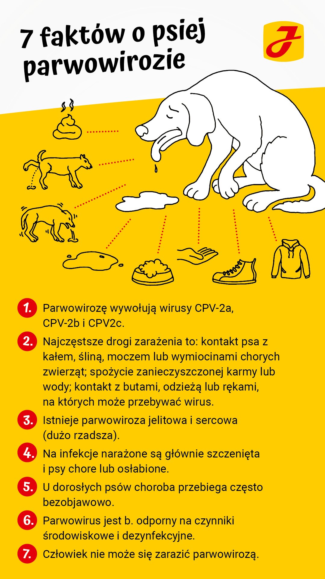 Czy można zarazić się sepsa od psa?