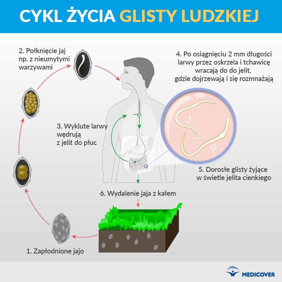 Czy robaki w kale się ruszają?