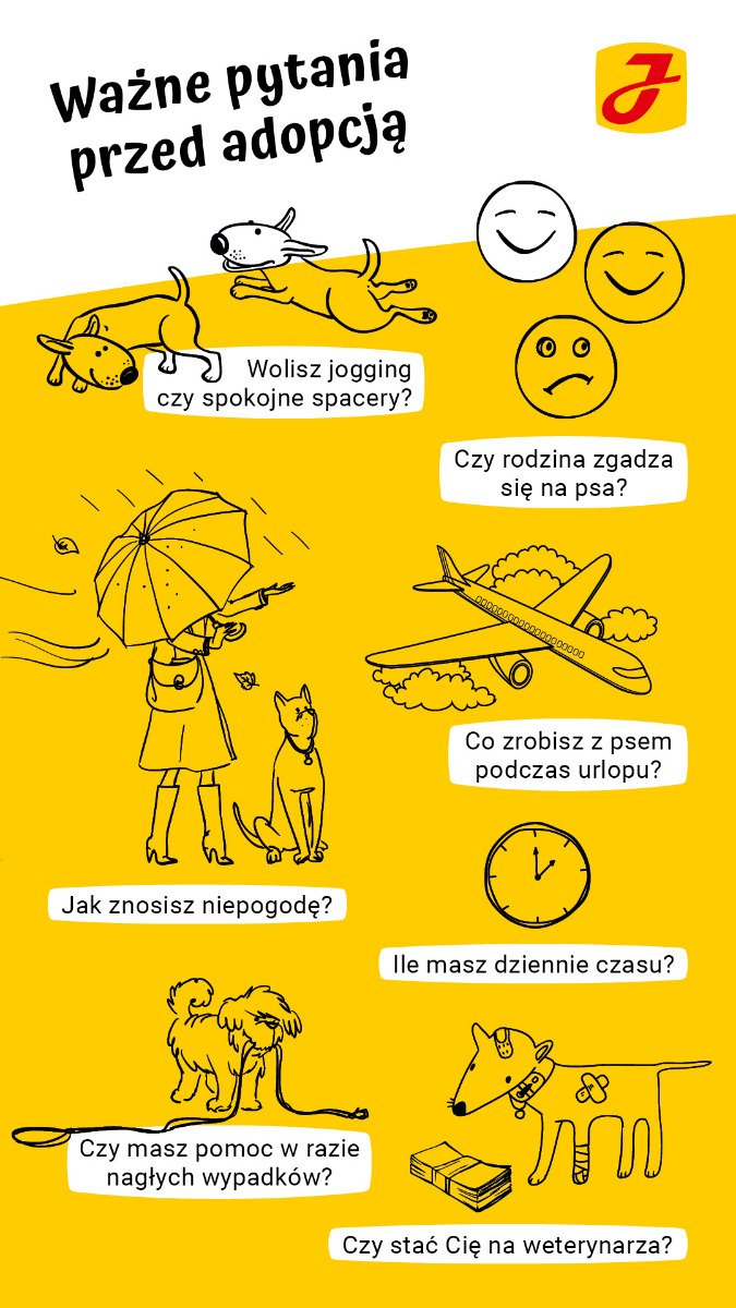 Ile się czeka na psa ze schroniska?
