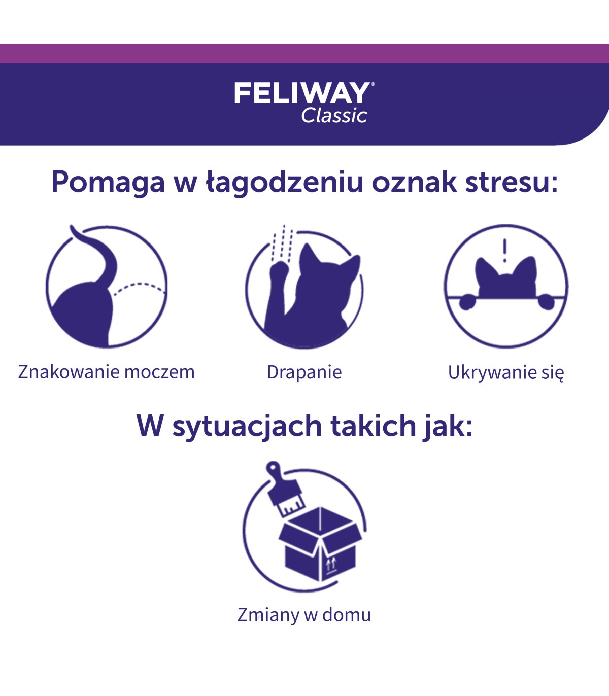Jak działają feromony dla kota?