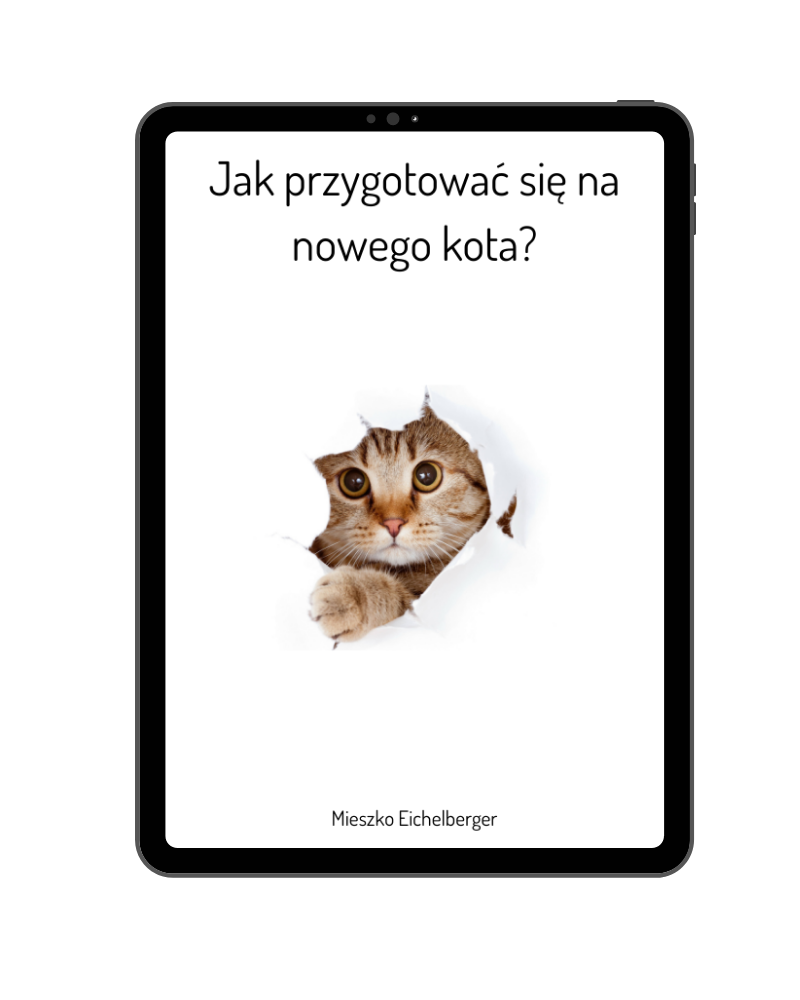 Jak przygotowac kota na nowego kota?