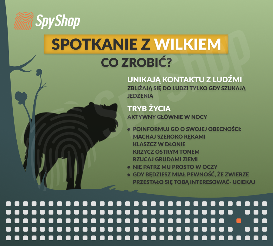 Jak zachować się w obecności dzikich zwierząt?