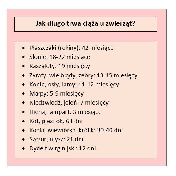 Jakie zwierzę jest najdluzej w ciąży?
