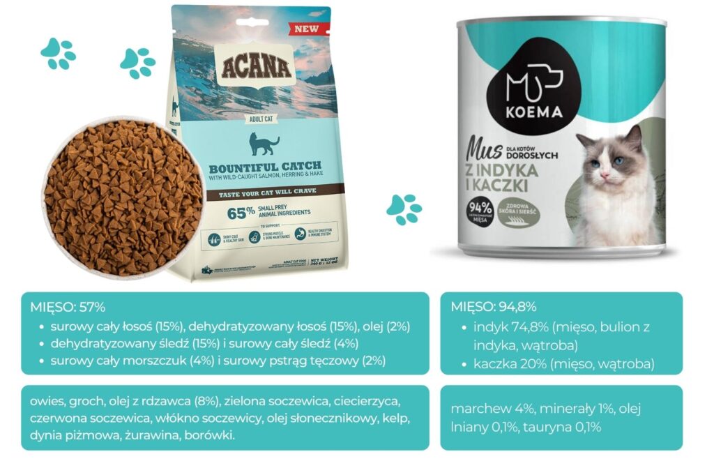 Kiedy koty mogą jesc sucha karmę?