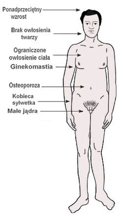 Kto ma 47 chromosomów?