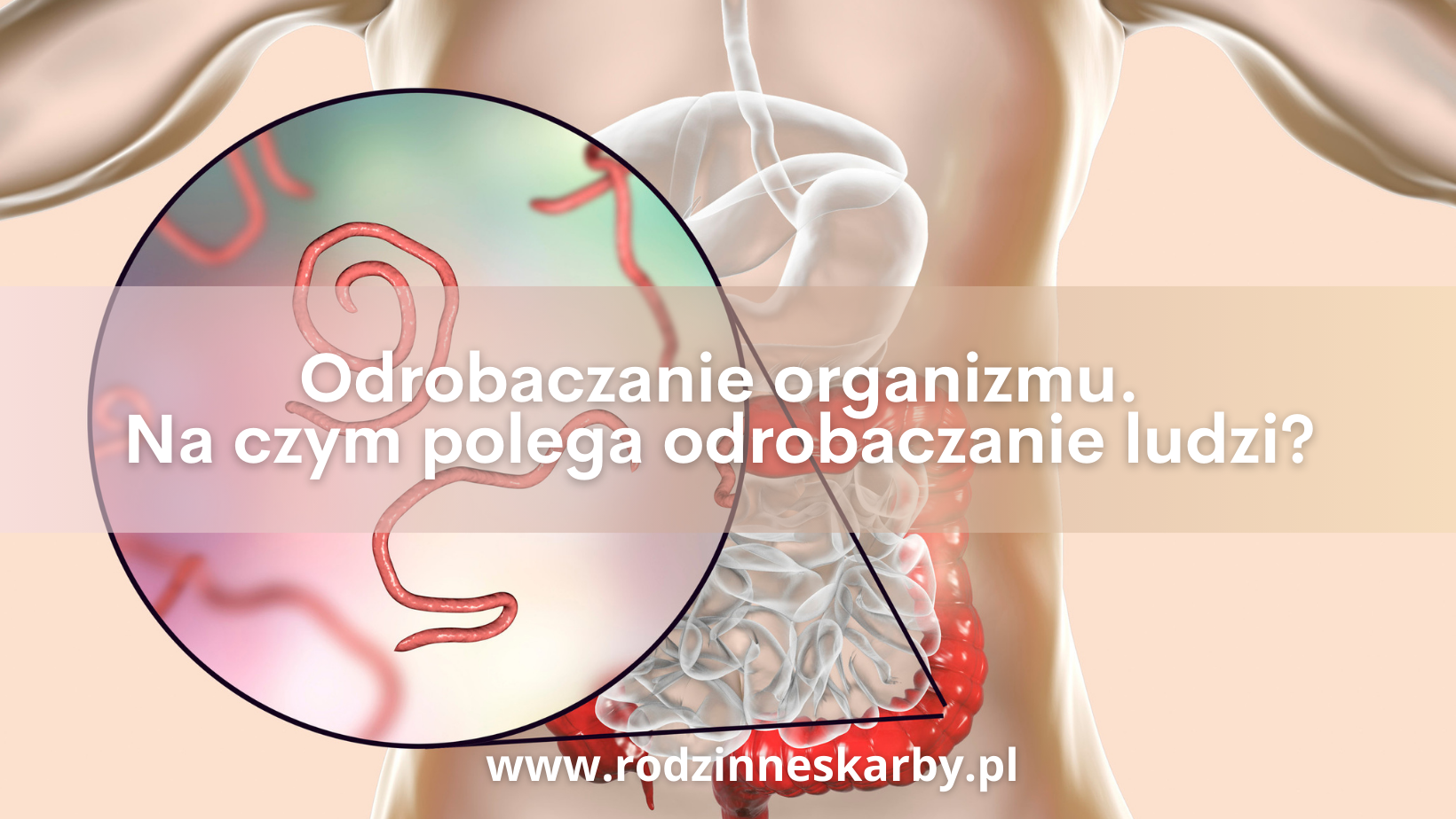 W jaki sposób odrobaczyć człowieka?