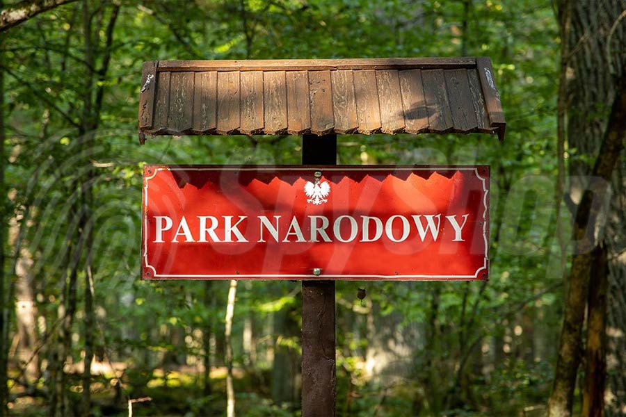 Co grozi za wjazd do parku narodowego?
