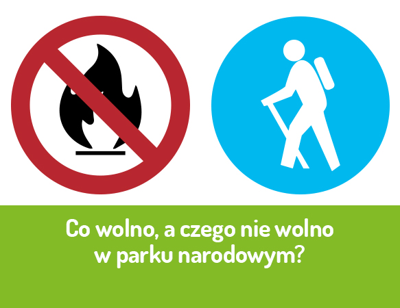 Czego nie wolno robić na terenie parku narodowego?