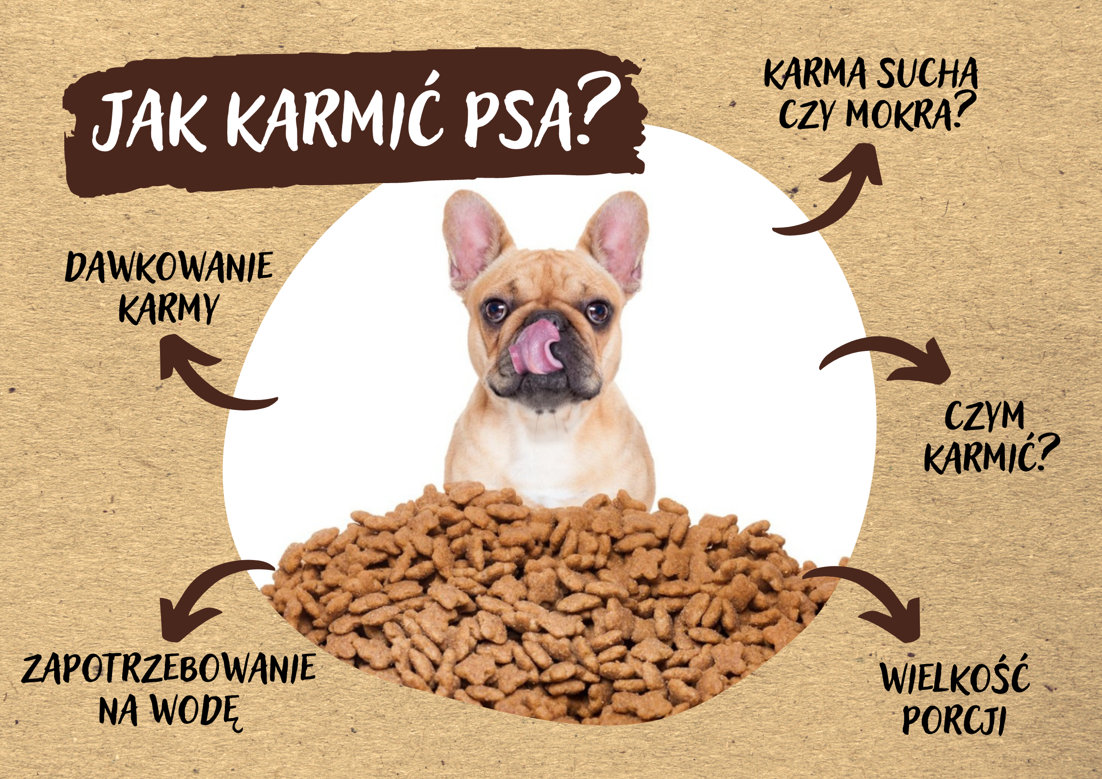 Czy pies może jeść cały czas mokra karmę?
